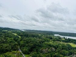 Flame Tree Park (D20), Condominium #520695311
